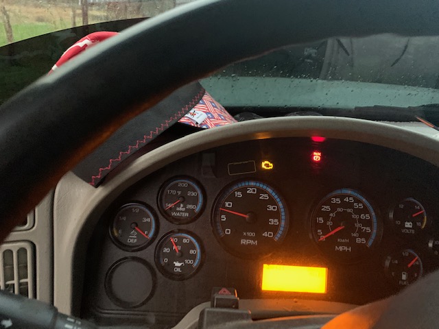 2017 INTERNATIONAL SBA LP 4300 - view 19 of 23