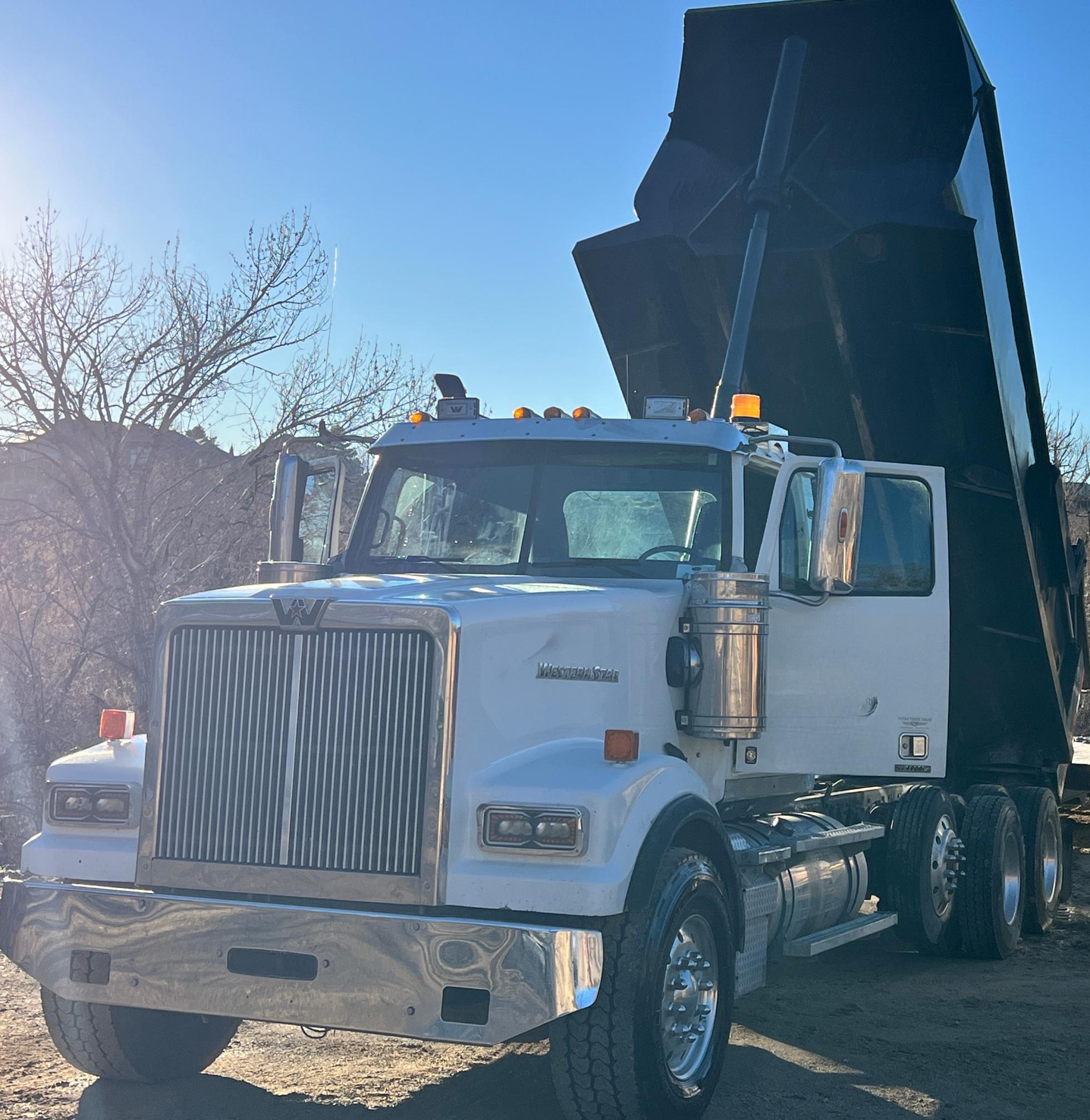2019 WESTERN STAR 4900 - view 3 of 30