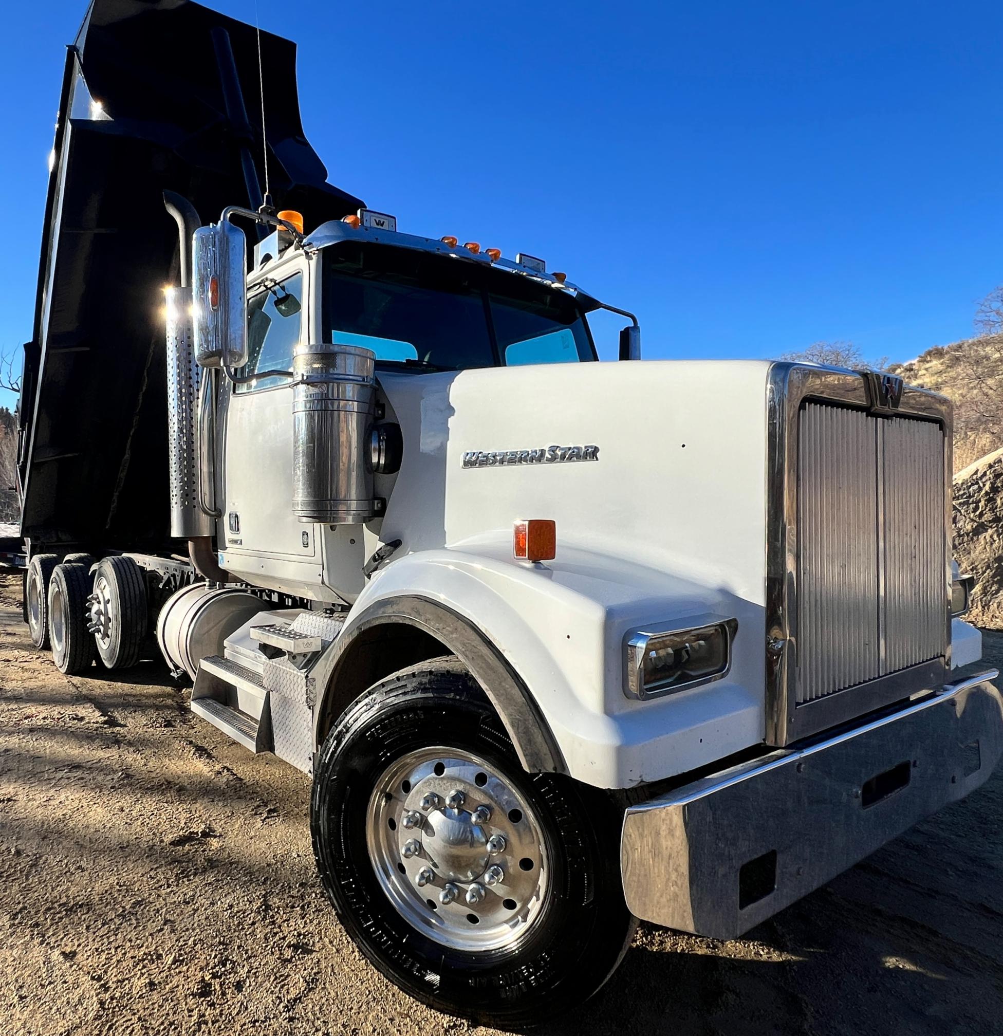 2019 WESTERN STAR 4900 - view 1 of 30