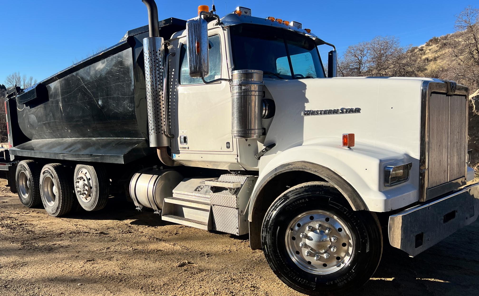 2019 WESTERN STAR 4900 - view 16 of 30