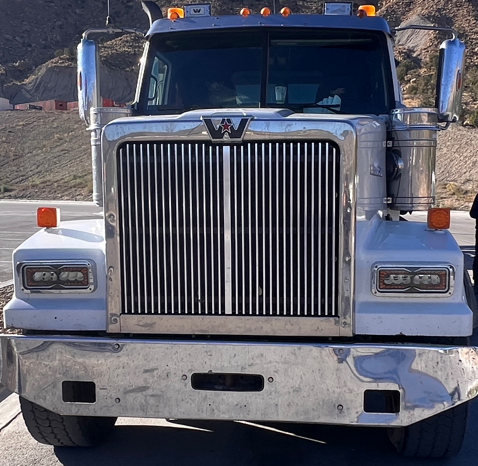 2019 WESTERN STAR 4900 - view 19 of 30