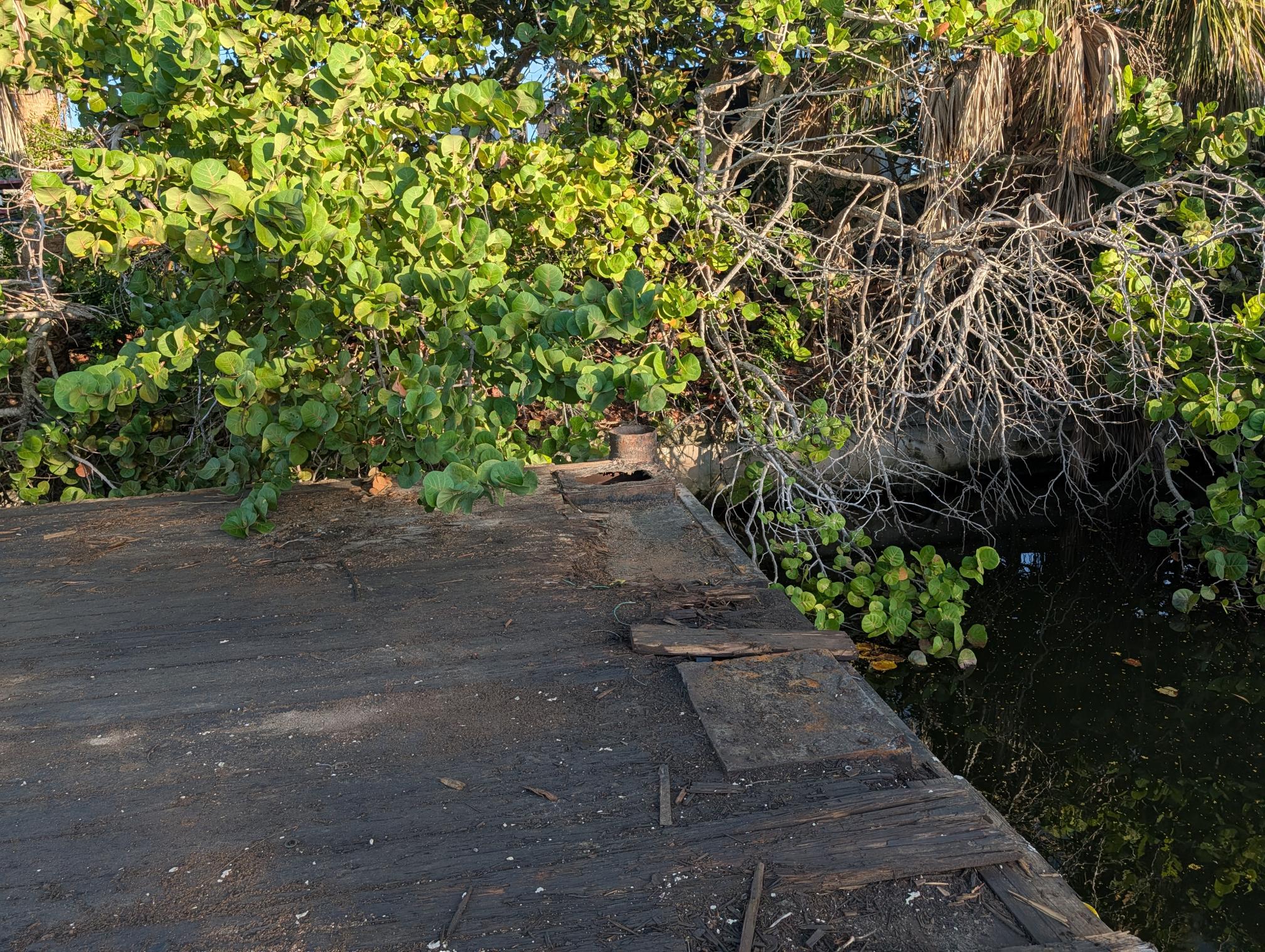1984  Barge - view 7 of 16