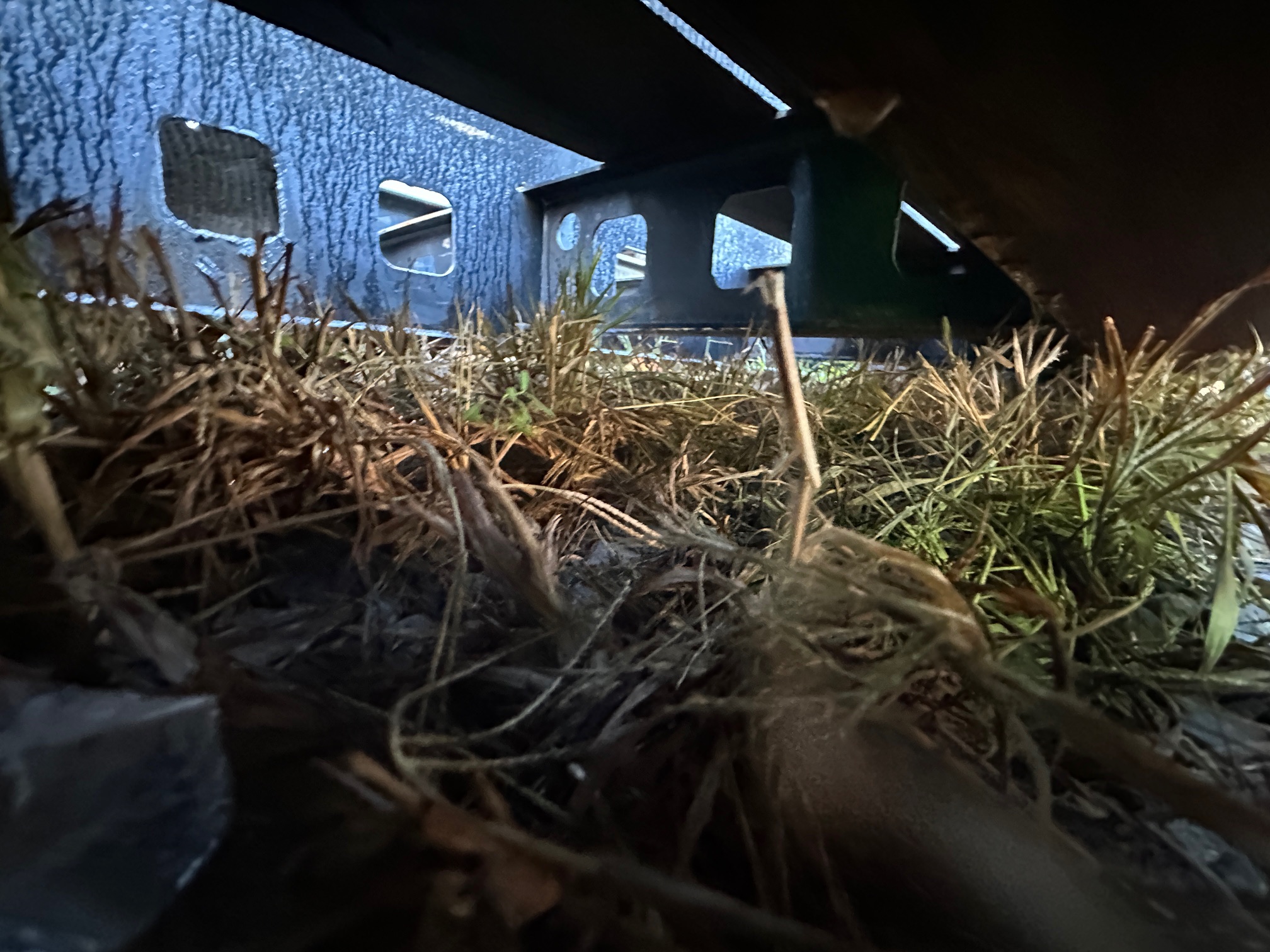 2020 KALYN 51 - view 11 of 14